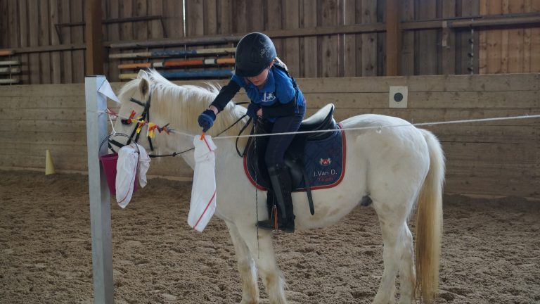 Vereinsmeisterschaften Geschicklichkeit