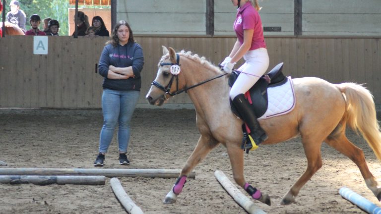 Vereinsturnier „Working Equitation“ am 31. März