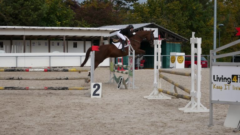 Reitertag Rottweil 2018