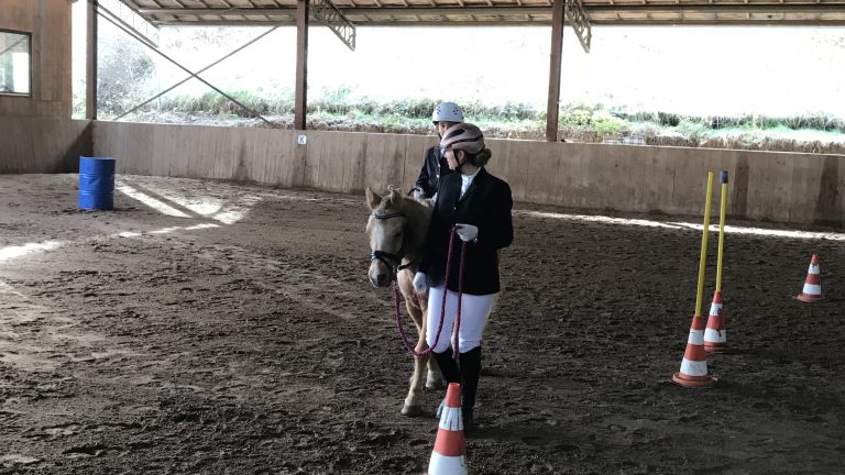 Working Equitation Turnier in Glatten