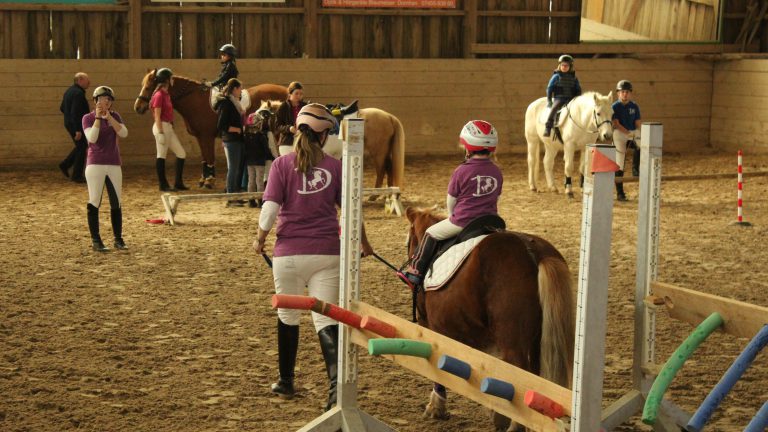 Vereinsturnier „Working Equitation“