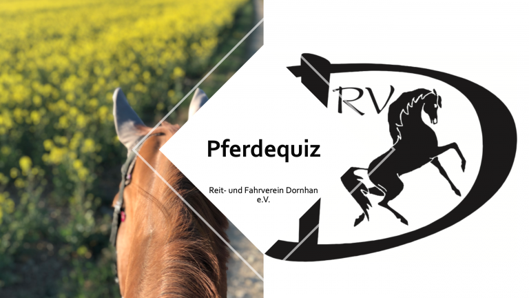 Pferdequiz und Pferde-Ausmalbilder