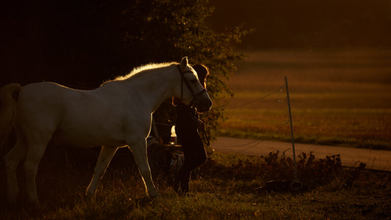 Billie, wir vermissen dich!