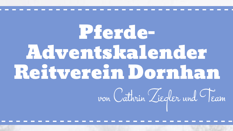 Unser pferdiger Adventskalender für euch
