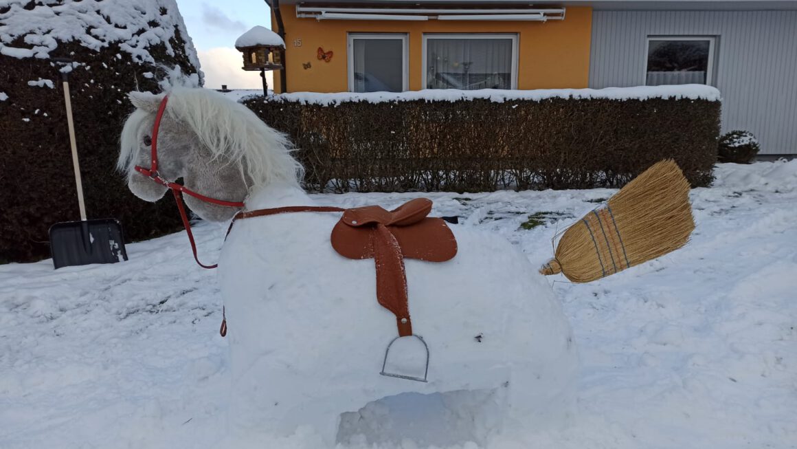 Schneepferde-Challenge