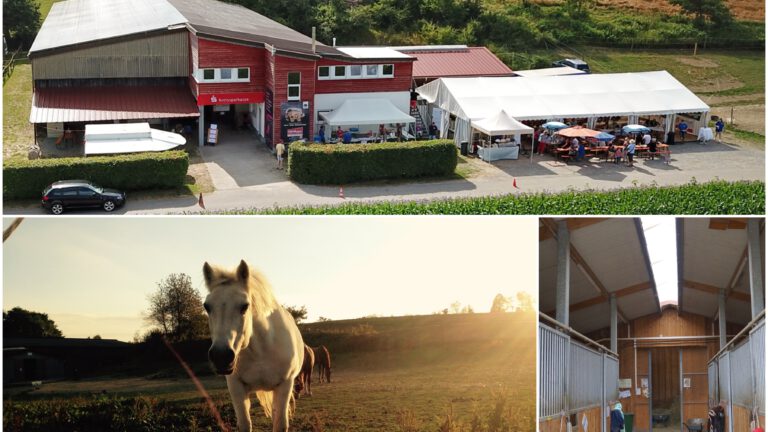 Unser Verein stellt sich vor