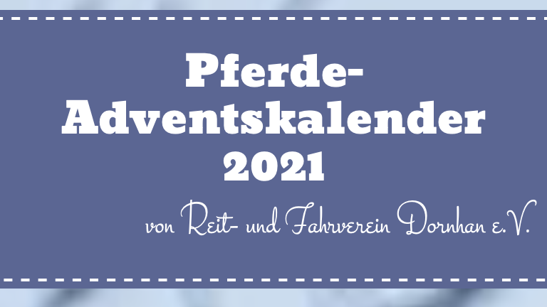 Unser Pferde-Adventskalender 2021