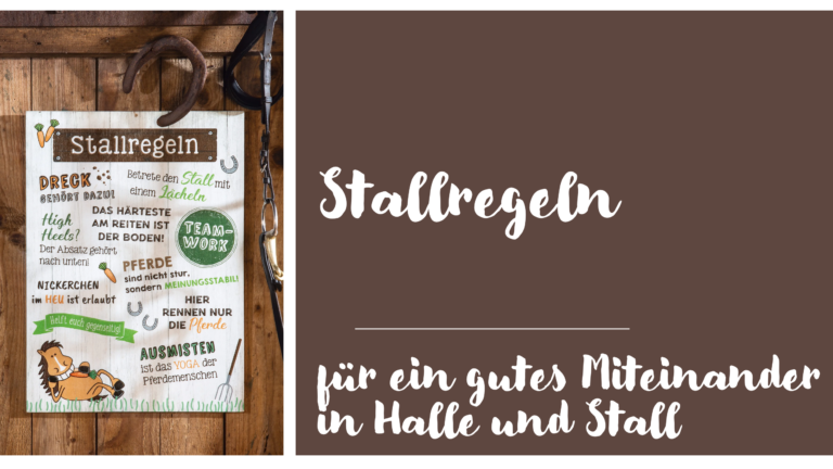 Wichtige Tipps für das Verhalten in Stall und Reithalle