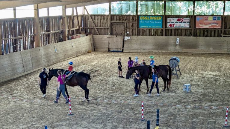 Fernado Ferienprogramm 2024